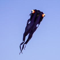 Kaiyuan software big goldfish kite breeze easy to fly without skeleton anti-wind adult high-end 2020 new beginner