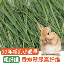 22 years New Uber and other dry grass drying wheat straw rabbit grain dragon cat Dutch pig feed Shepherd Mao weighs 1000g