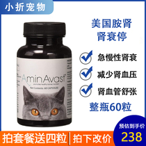 Cats Kidney Failure Amine Kidney American AminAvast Catamine amine Kidney Acute and Chronic Renal Failure 300mg 60 tablets 12 tablets