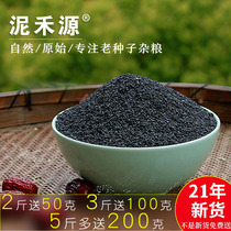 21 years of new fresh goods Black Sesame raw Henan farmers self-produced and sold old varieties Super no dyeing 500g