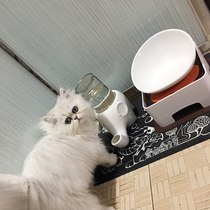 Elephant drinking fountain pet cat drinking water bowl anti-knock wet chin cat ceramic drinking water device