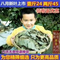 Hunan Zhangjiajie Wild Cyclocarya paliurus Original Leaf Tea Health Tea Big Leaf Tea Cyclocarya paliurus 2021 New Leaf 500g