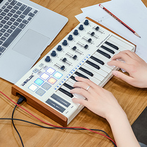 Worlde midi arrangement keyboard portable electronic music keyboard beginner controller 25 keys
