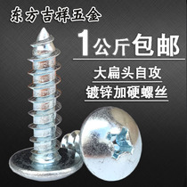 Hardened galvanized large flat head self-tapping screw Big Head self-tapping nail pointed tail screw flat round head wood screw M3M4M5