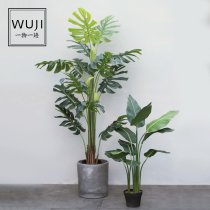Nordic style ins simulation green plant potted traveler banana large-scale landing simulation piano leaf Banyan tortoise back bamboo ornaments