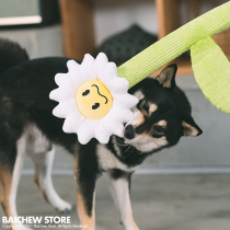 White pig shop Q-Monster dog toy flower stick interactive gnaw bite relief artifact molars medium large dog