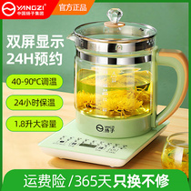 Yangzi health pot household multi-function automatic reservation High Borosilicate Glass boiled tea porridge electric kettle