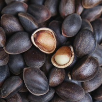 Yunnan Ailao Mountain Alpine this year fresh wild pine nuts (fresh pine nuts) 1000 grams