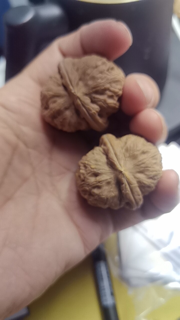 核桃文玩元宝-核桃文玩元宝促销价格、核桃文玩元宝品牌- 淘宝