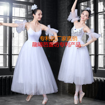 Ballet dance skirt Sling practice suit Puffy yarn skirt Ballet sequined pleated skirt Swan Lake puffy skirt performance suit