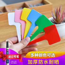 Horticultural fleshy label gardening plant flower pot plastic label waterproof small insert fleshy potted label