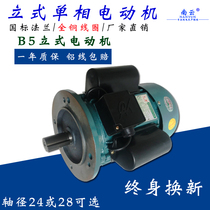 220V vertical motor Small household two-phase flange motor Single-phase high-power copper wire motor Low-speed four-stage