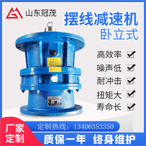 Cycloid pin wheel reducer with motor National Standard horizontal vertical BWD copper core transmission coaxial reducer vertical