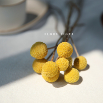 Nordic soft furnishing home decoration living room decoration real flower immortal flower dried fruit natural air-dried plant dried flower golden ball