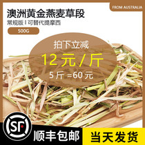  (Soon to be sold out)Worry-free conventional Australian wheat 500g Imported Australian golden Oat grass Rabbit hay feed