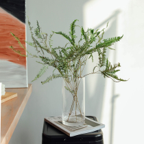 Natural air-dried fern leaves mangosteen leaves dried flowers flower arrangement with grass plant leaves window with Nordic style decoration