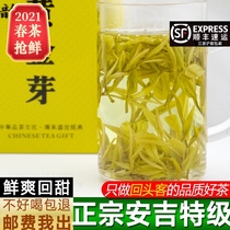 2021 New tea authentic Anji white tea Gold bud tea Premium 250g bulk Mingqian Gold tea AAA spring tea