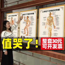 Traditional Chinese medicine human body Meridian acupoint map large wall map home body Meridian disease control HD ys
