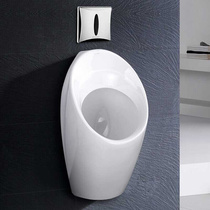 Kohler Wall Mounted Urinal Adult Mens Ceramic Urinal Automatic Induction Urinal 18645