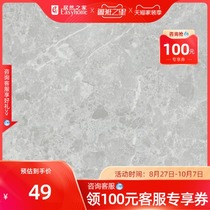 Marco Polo Modern Simple Light Luxury Living Room Marble Textured Tile Iceland Grey CH8080AS