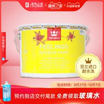Finlin paint original imported 3G all-around interior wall latex paint white color indoor brush wall paint paint paint