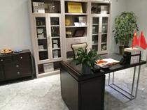 The Renhau Modica combined bookcase