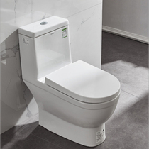 ARROW Bathroom Flush Toilet AB1287