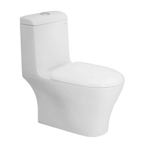 Wing whale bathroom ordinary toilet series Ordinary toilet CO-1066 household toilet ceramic toilet siphon siphon