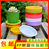 Meat flower pot small tray Plastic water tray Flower tray Meat flower plate small flower pot chassis round tray flower base