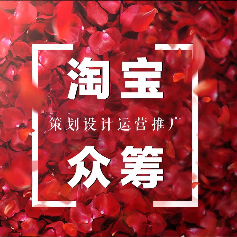 Taobao JD.com crowdfunding project design on behalf of operation audit crowdfunding page design Taobao crowdfunding plan