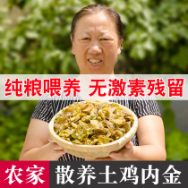 Turkish chicken inner gold conditioning spleen and stomach children fried raw chicken inner gold powder chicken inner gold tablets dry Chinese herbal medicine Non-Tongrentang 250g