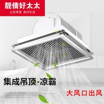 Liangba lighting two-in-one kitchen embedded integrated ceiling cold fan Air conditioning cold fan with lamp 300×600