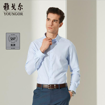 Youngor men long sleeve shirt Autumn New Business Leisure cotton DP non-iron fine work shirt 2012