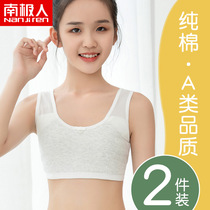 Girls underwear students wear puberty high school junior high school students bra 12-year-old cotton vest
