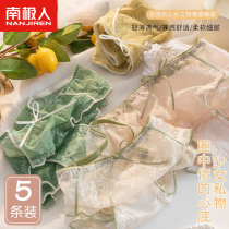 Antarctic underwear lady pure cotton whole cotton antibacterial crotch sexy new pure lace without trace girl shorts head