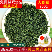 Green Tea 2021 New Tea Spring Tea Rizhao Alpine Mountain Cloud Tea Maojian Tea Bulk Bags Strong Fragrance 500g