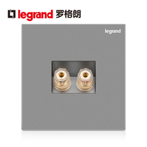 Rogrand switch socket panel Yijing deep sand silver one Audio two hole plug audio speaker power supply Type 86