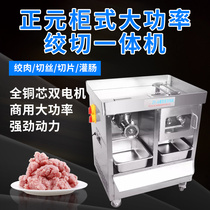 Zhengyuan cabinet type meat grinder stainless steel commercial electric high power dual motor ZY-6 multi-function cutting machine