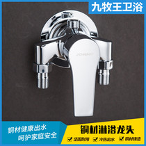 Jiumu Wang Ming suit all copper hot and cold faucet toilet thickened antifreeze mixing valve shower faucet shower set