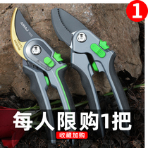 Cutting scissors horticultural scissors branches pruning shears flower scissors garden labor-saving floral tools Fruit tree pruning rough shears