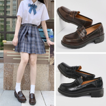 Count Cat Genuine Leather Small Leather Shoes Women 2022 New Middle Heel Lefu Single Shoes Spring Students College Wind Jk Uniform Shoes