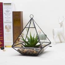 Jiale glass flower room succulent micro-landscape ecological bottle wedding counter storage display box home soft decoration