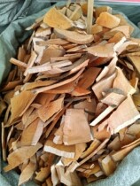 Half Maple Chinese Herbal Medicine Guangxi Wild Fresh Dry Goods 500g Authentic Medicinal Herbs Variety is Big From Youthermal