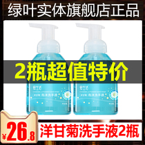 Green Leaf Love Life Chamomile Foam Hand Sanitizer for pregnant women and children Natural hand washing care sterilization 2 bottles