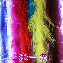 2 rice strip diy colorful ostrich feather strip clothing paving wedding bar decoration props dance tailing