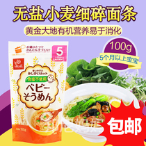 Japan imported hakubaku gold Earth baby food supplement salt wheat noodle baby small broken noodles