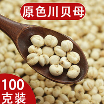 Sichuan Fritillaria special grade Sichuan Fritillaria powder Chinese herbal medicine sulfur-free wild Chuanbei 100g