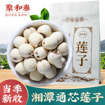 Xiangtan lotus seed dry goods core white lotus rice coreless ground skin Hunan specialty Xianglian lily tremella 500g