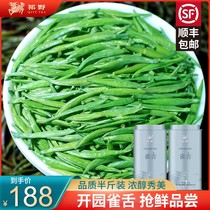 Ye 2021 New Tea Bird Tongue Green Tea Maojian Tea Shoot Mingqiang Tea Extra Strong Fragrant Bamboo Leaf Canned 250g