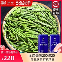 Qino Anji white tea 2021 New tea before the rain Tea first-class alpine green tea A total of 250g canned bulk spring tea